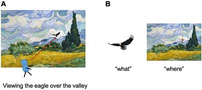 Reunification of Object and View-Center Background Information in the Primate Medial Temporal Lobe